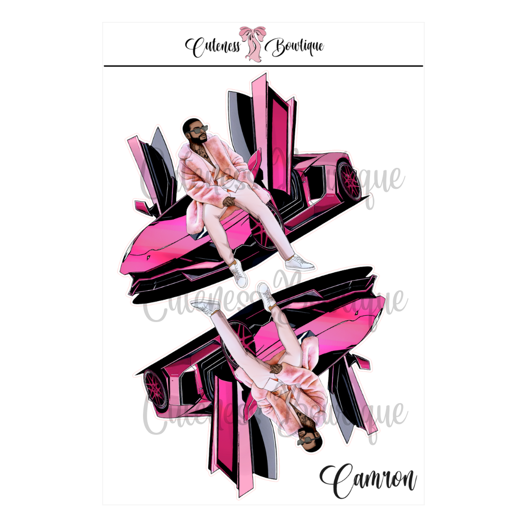 The  CUSTOM Cuteness Doll Collection Sticker Sheet | Cuteness Planner Stickers for Agendas, Planners, Notebooks, Dividers | PINK FEST | CAMRON